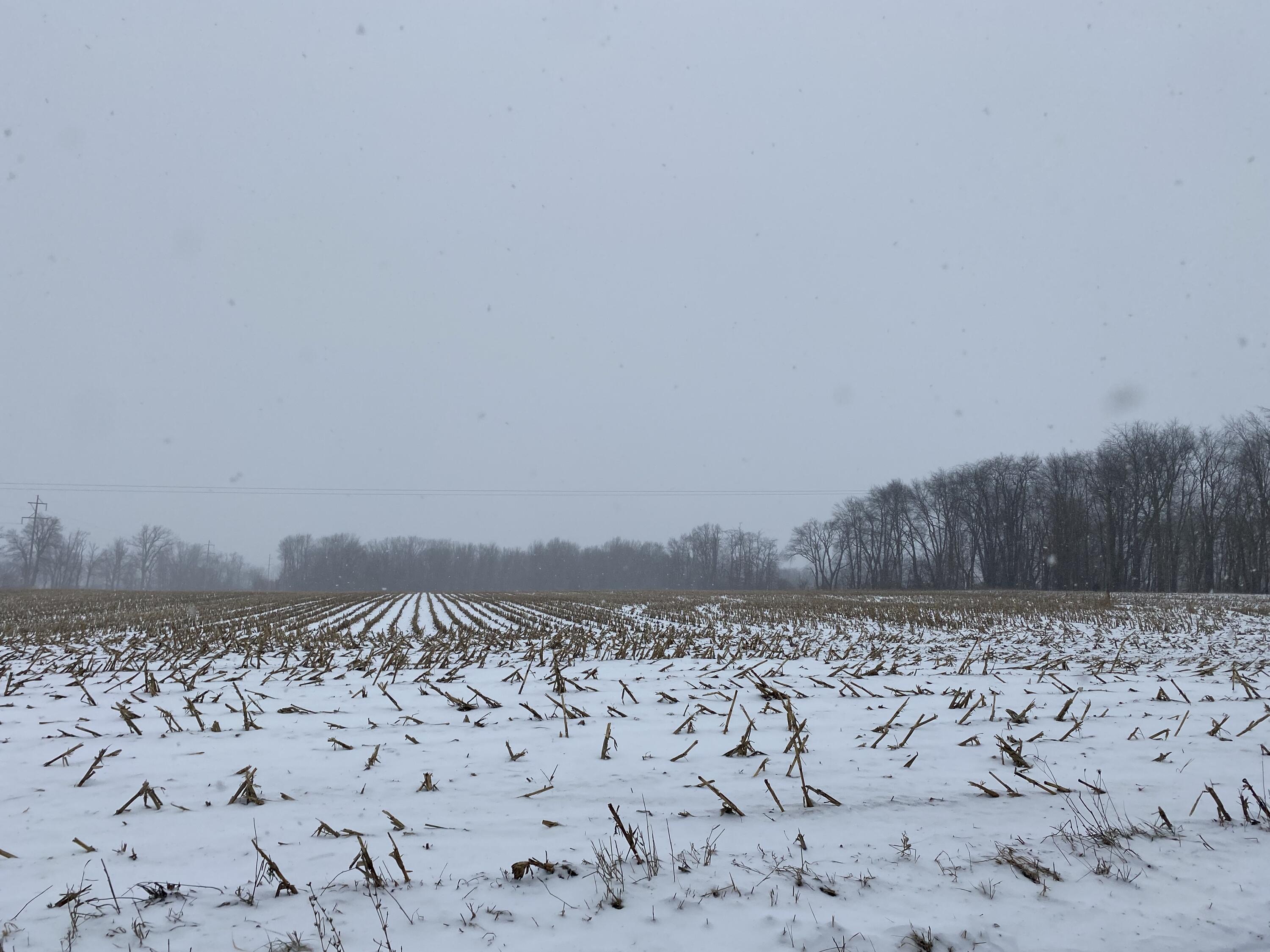 West Thompson Road Bronson, MI 49028 - Photo 4 of 5 IMG_3407