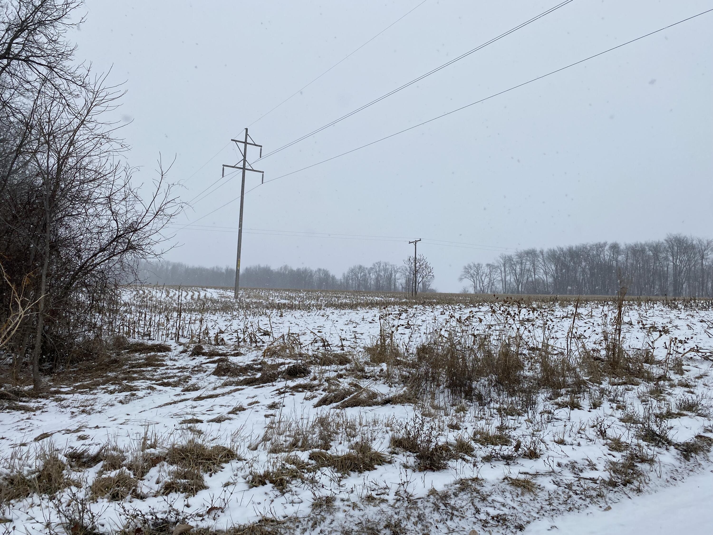 West Thompson Road Bronson, MI 49028 - Photo 5 of 5 IMG_3406