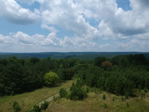 a view of a bunch of trees