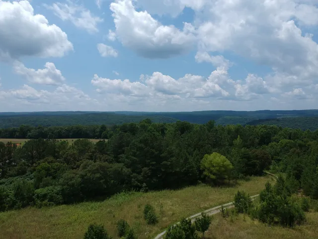 a view of yard with ocean