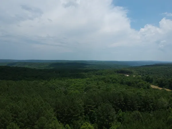 a view of a city with lush green forest