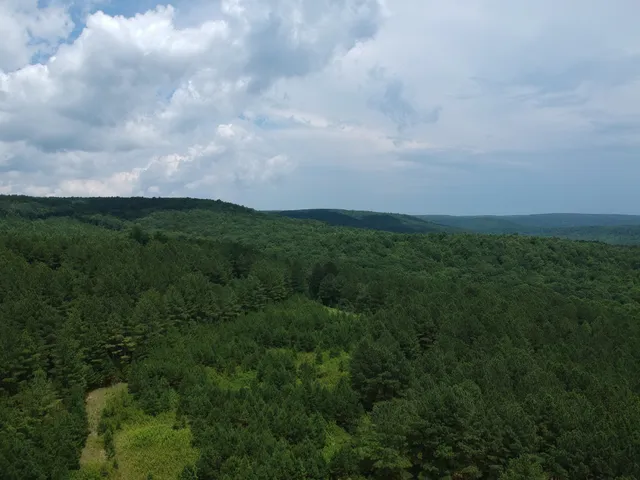 a backyard of a house with lots of green space and lake view