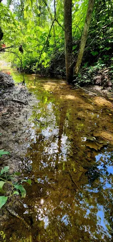 an aerial view of a houses with outdoor space and garden