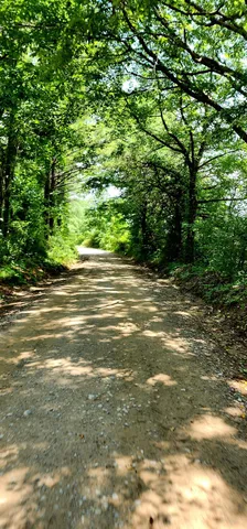 a view of an empty room with windows