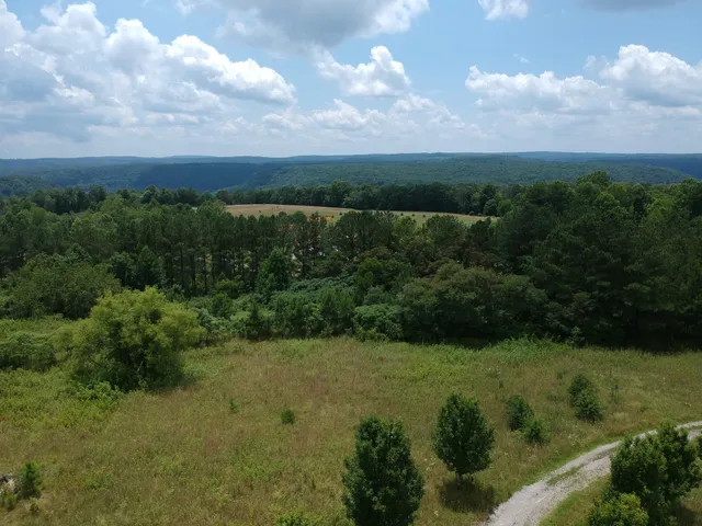 a view of lake with a tree in background