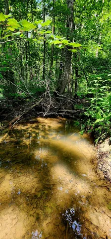 $468,000 | 5199 Burkett Chapel Road, Gruetli Laager, TN 37339