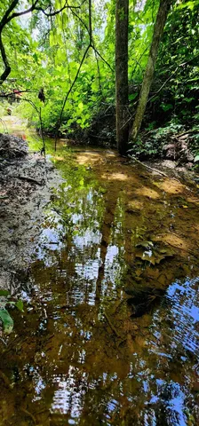 $468,000 | 5199 Burkett Chapel Road, Gruetli Laager, TN 37339