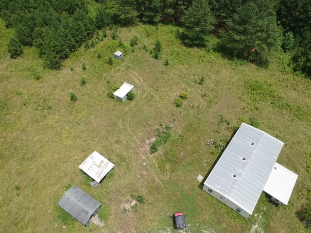 a view of a bunch of trees in a field