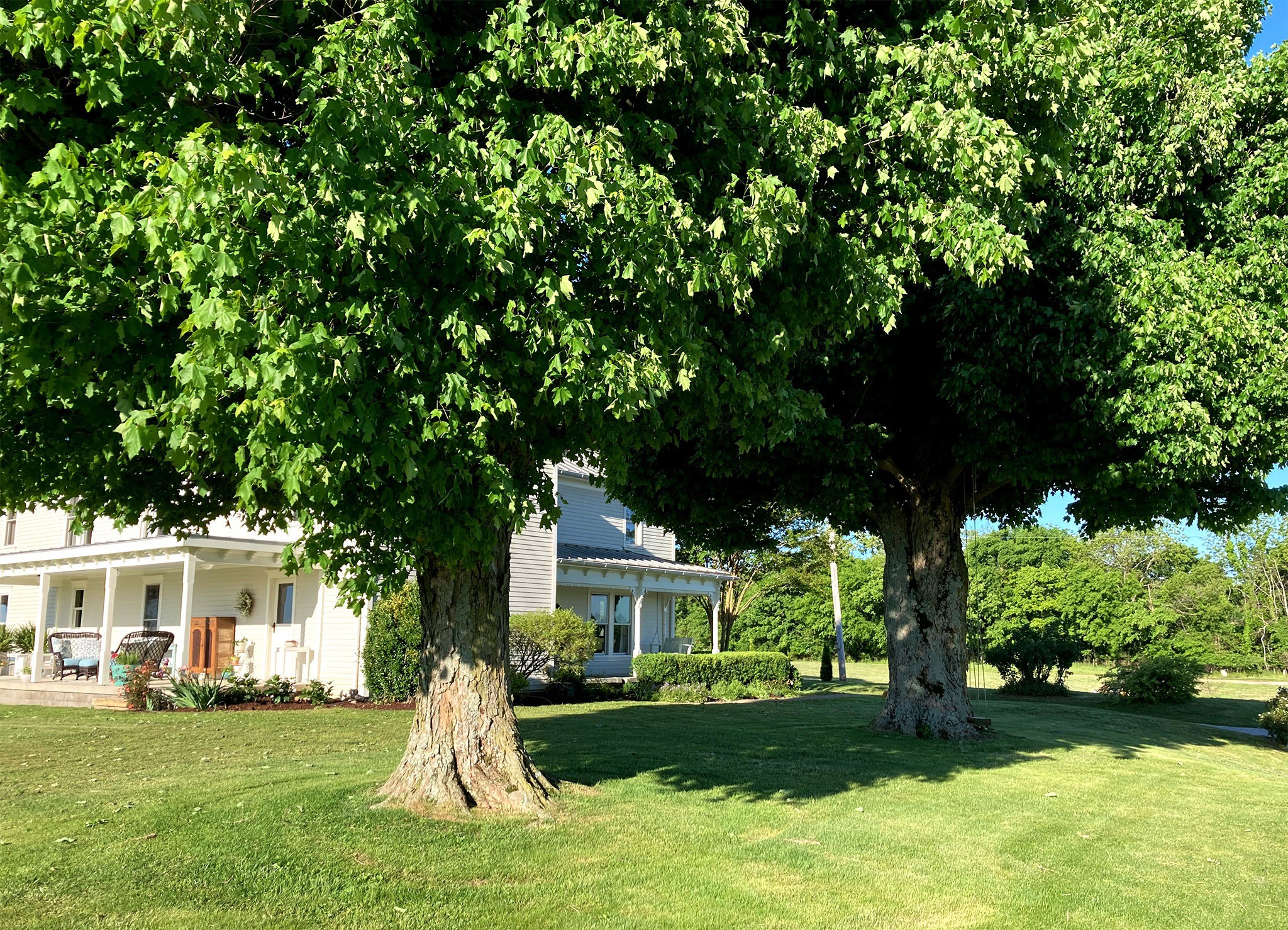 3333 Benton Road Cedar Hill, TN 37032 - Photo 13 of 50 Gallery Image 13