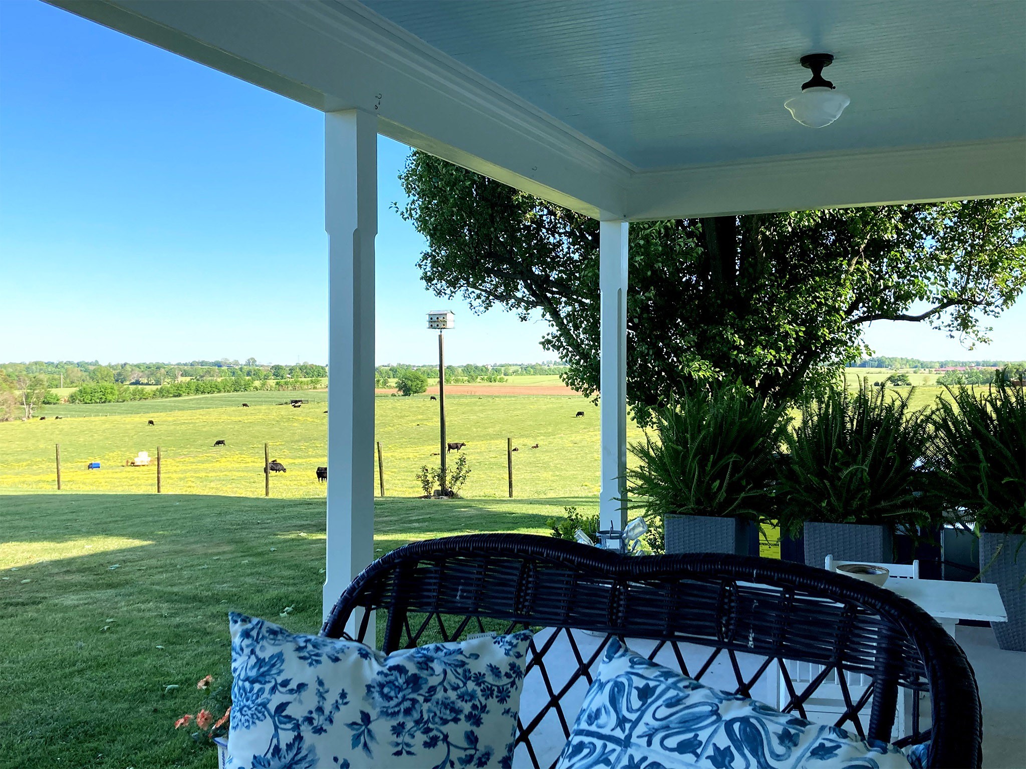 3333 Benton Road Cedar Hill, TN 37032 - Photo 8 of 50 Gallery Image 8