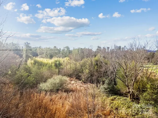 $125,000 | 425 Nelson Valley Lane, Hendersonville, NC 28739