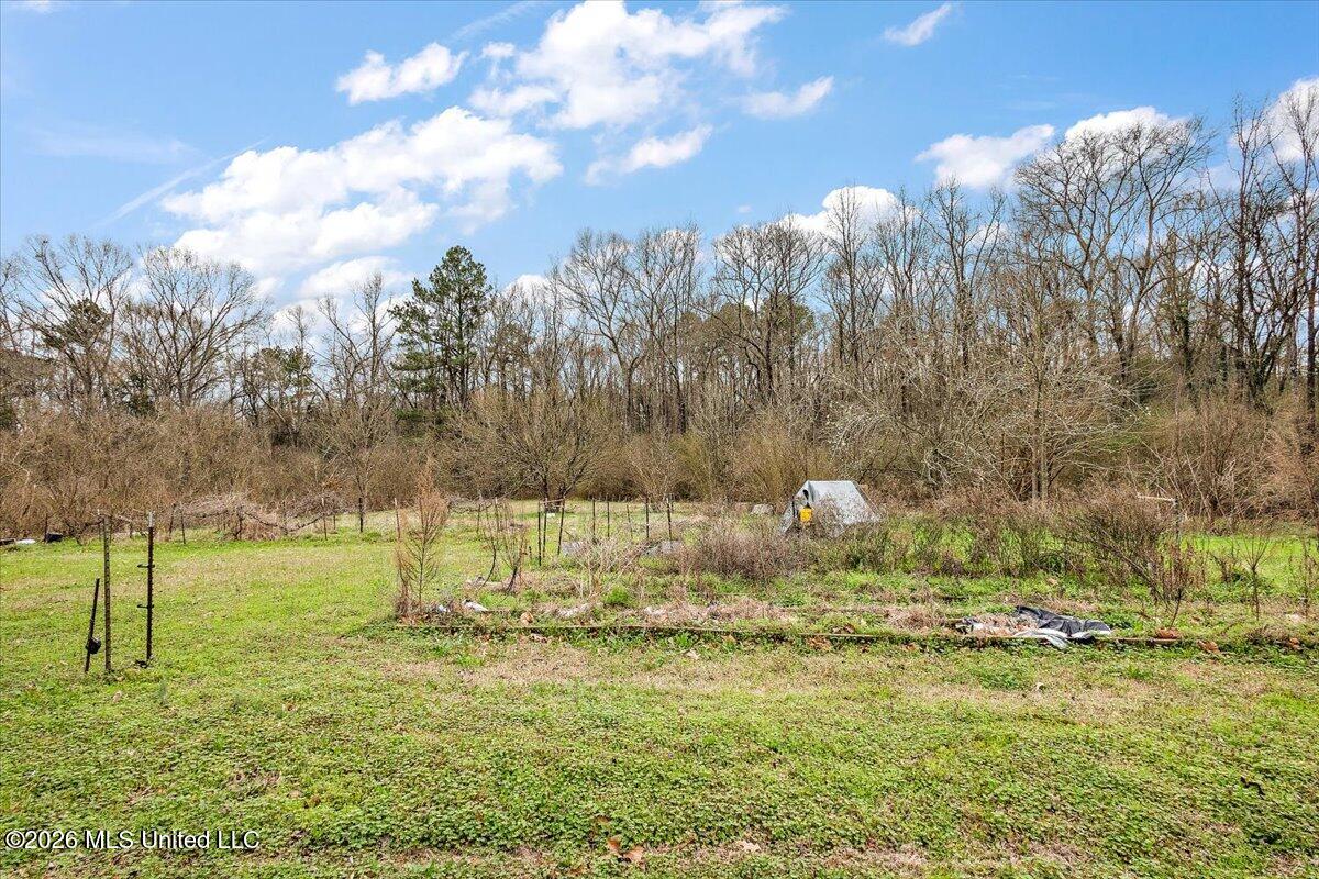 1153 Owens Road Terry, MS 39170 - Photo 8 of 43 7941