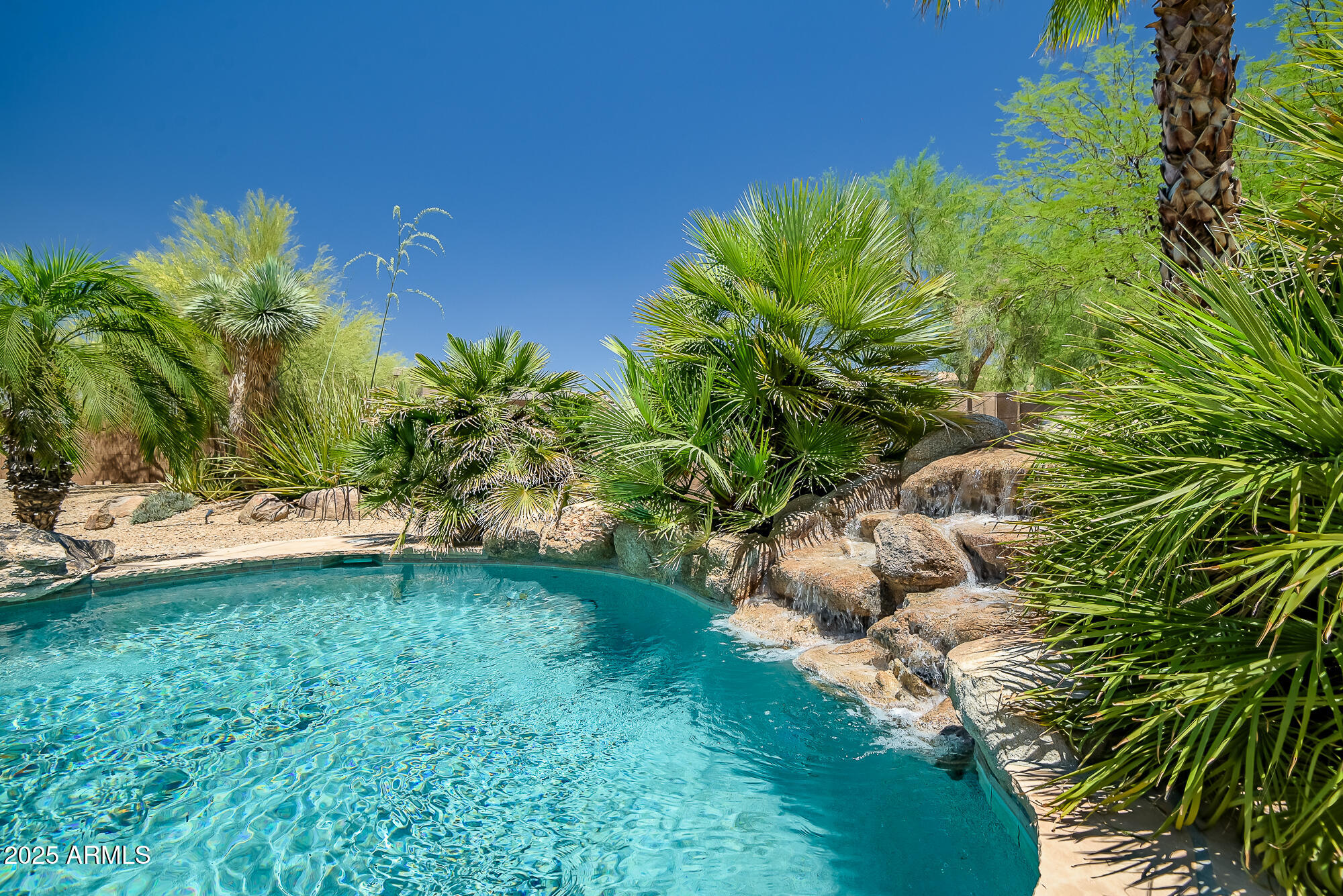 39419 7th Avenue Phoenix, AZ 85086 - Photo 20 of 51 a view of a garden