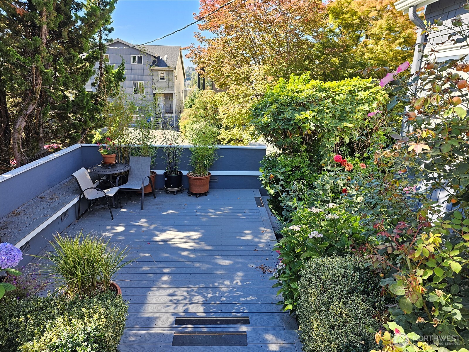 2822 Prosch Avenue West Seattle, WA 98119 - Photo 5 of 31 a view of a patio with table and chairs potted plants and large tree