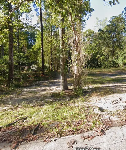 $24,500 | 238 Pineneedle Circle, Johnsonville, SC 29555