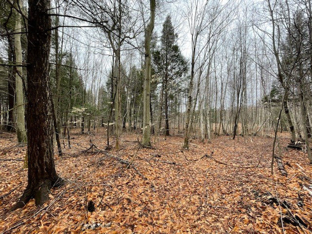 0 East Road Burke, NY 12917 - Photo 3 of 5 Gallery Image 3