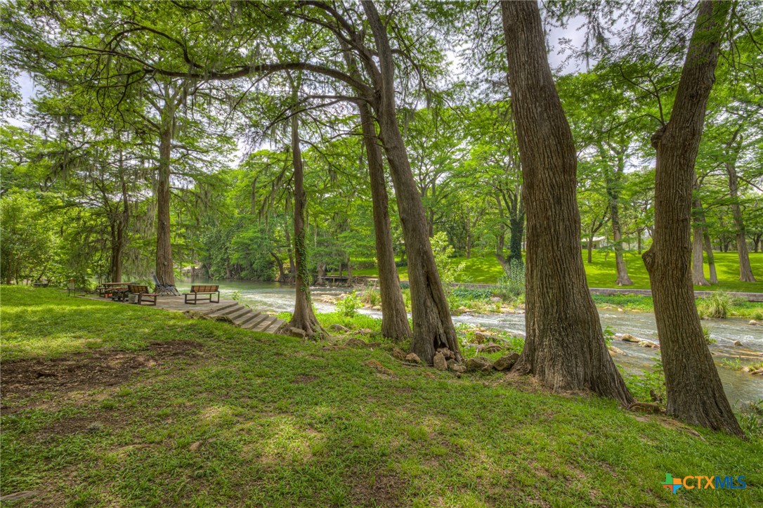 1029 Gruene Road New Braunfels, TX 78130 - Photo 43 of 48 a view of a trees in a yard