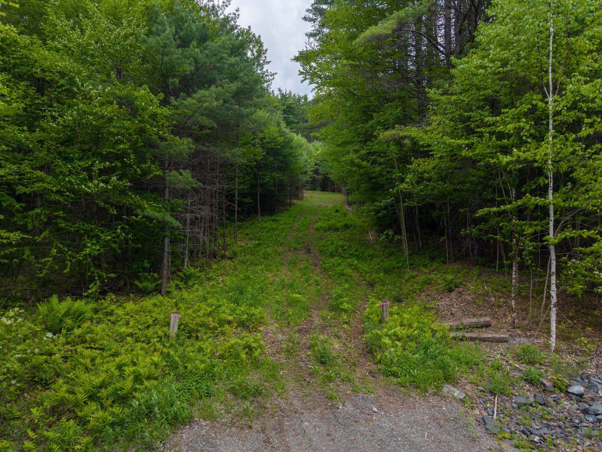 0 Tigertown Road White River Junction, VT 05001 - Photo 3 of 13