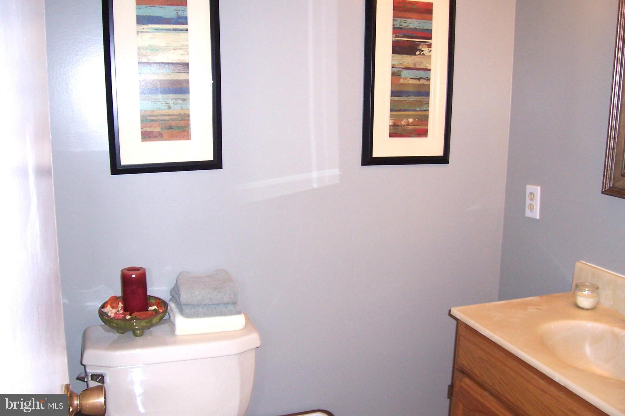 11512 Lockhart Place Silver Spring, MD 20902 - Photo 14 of 23 Lower level bath