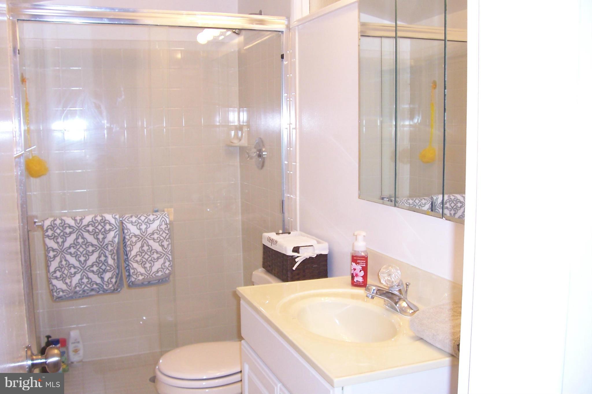 11512 Lockhart Place Silver Spring, MD 20902 - Photo 16 of 23 Bath (Master)
