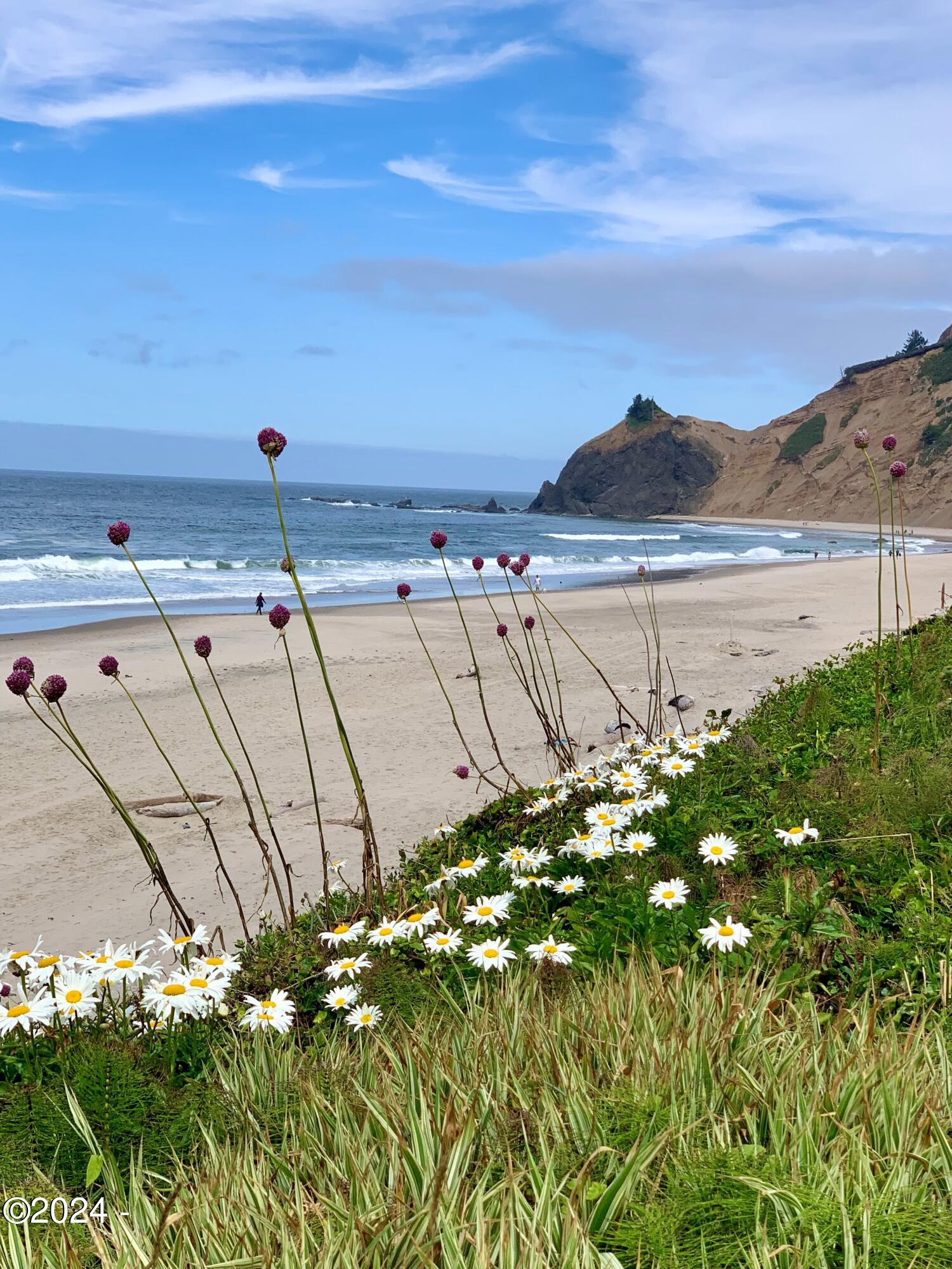 7307 Northwest Logan Road Lincoln City, OR 97367 - Photo 4 of 11 beach to north