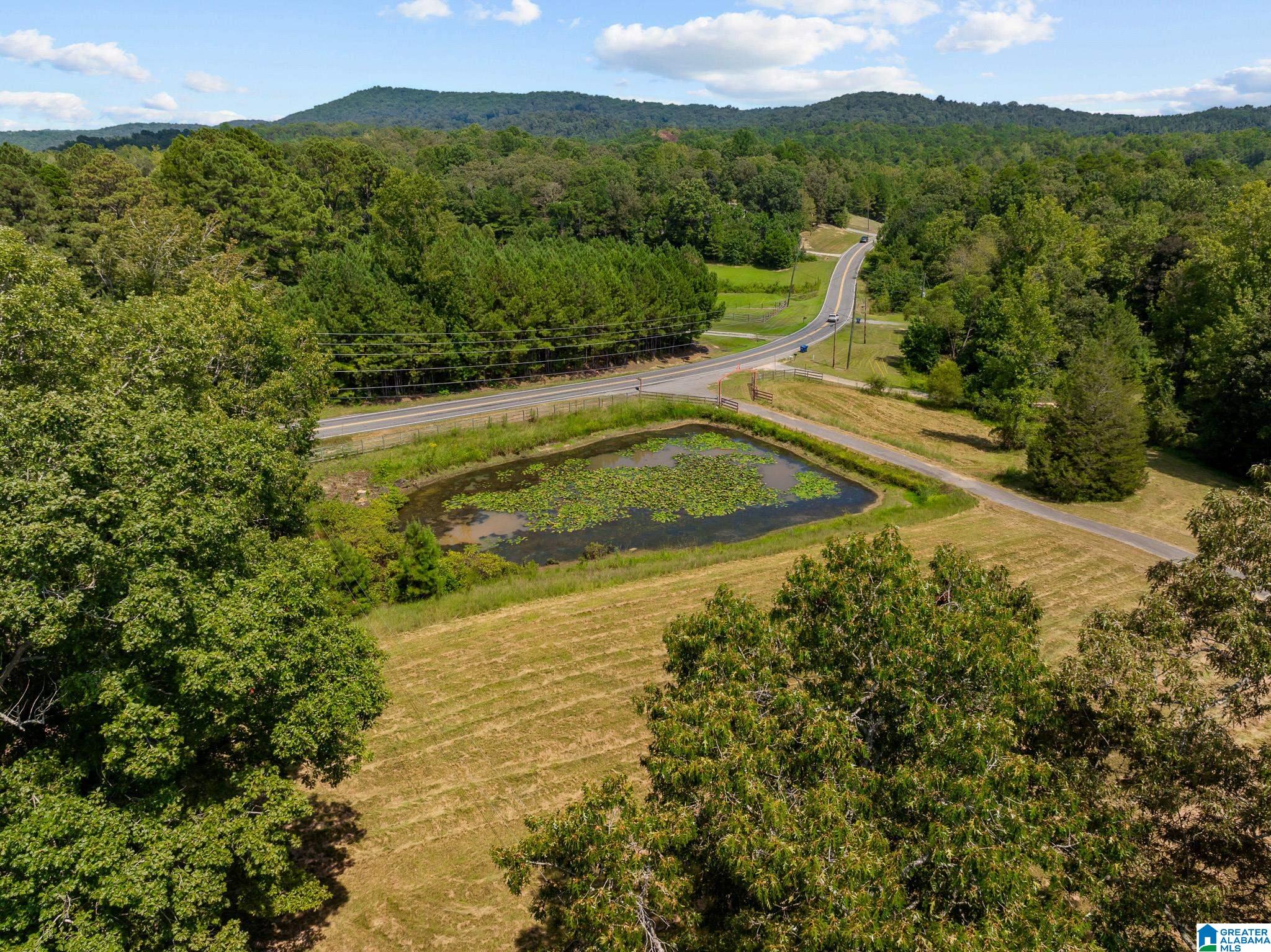 1695 Sanie Road Odenville, AL 35120 - Photo 52 of 63