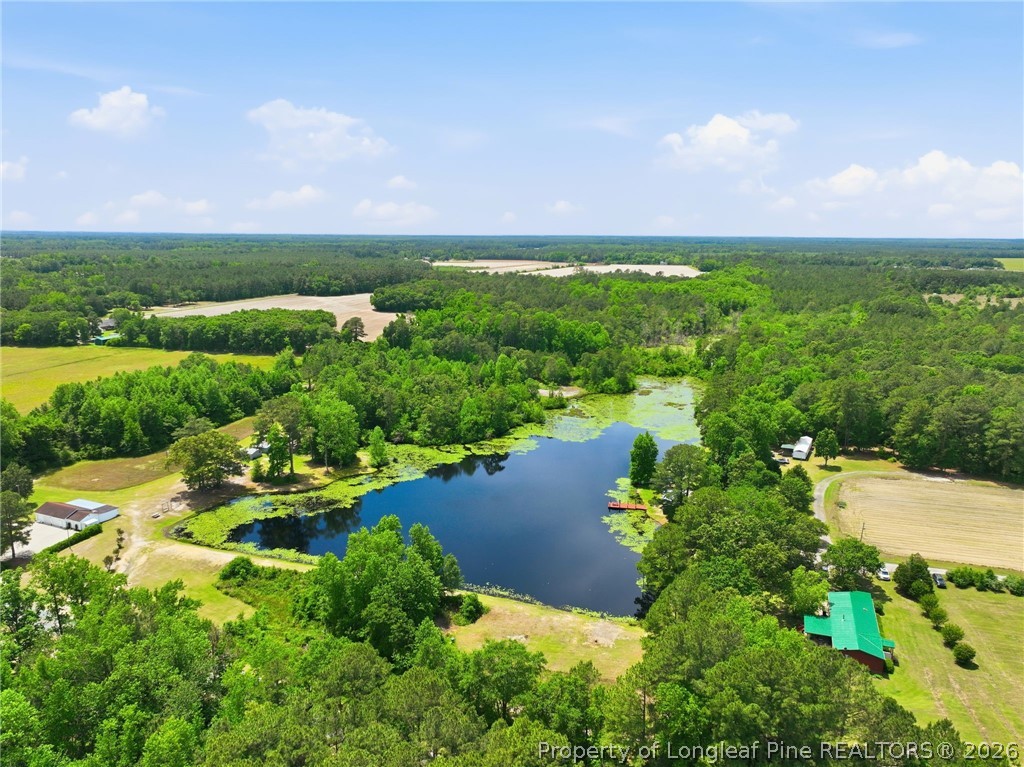 10400 Ruth Vinson Road Autryville, NC 28318 - Photo 3 of 49 an aerial view of a houses with outdoor space and trees all around