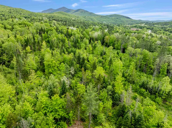 $69,000 | Lot 5 Colburn Drive, North Stratford, NH 03590