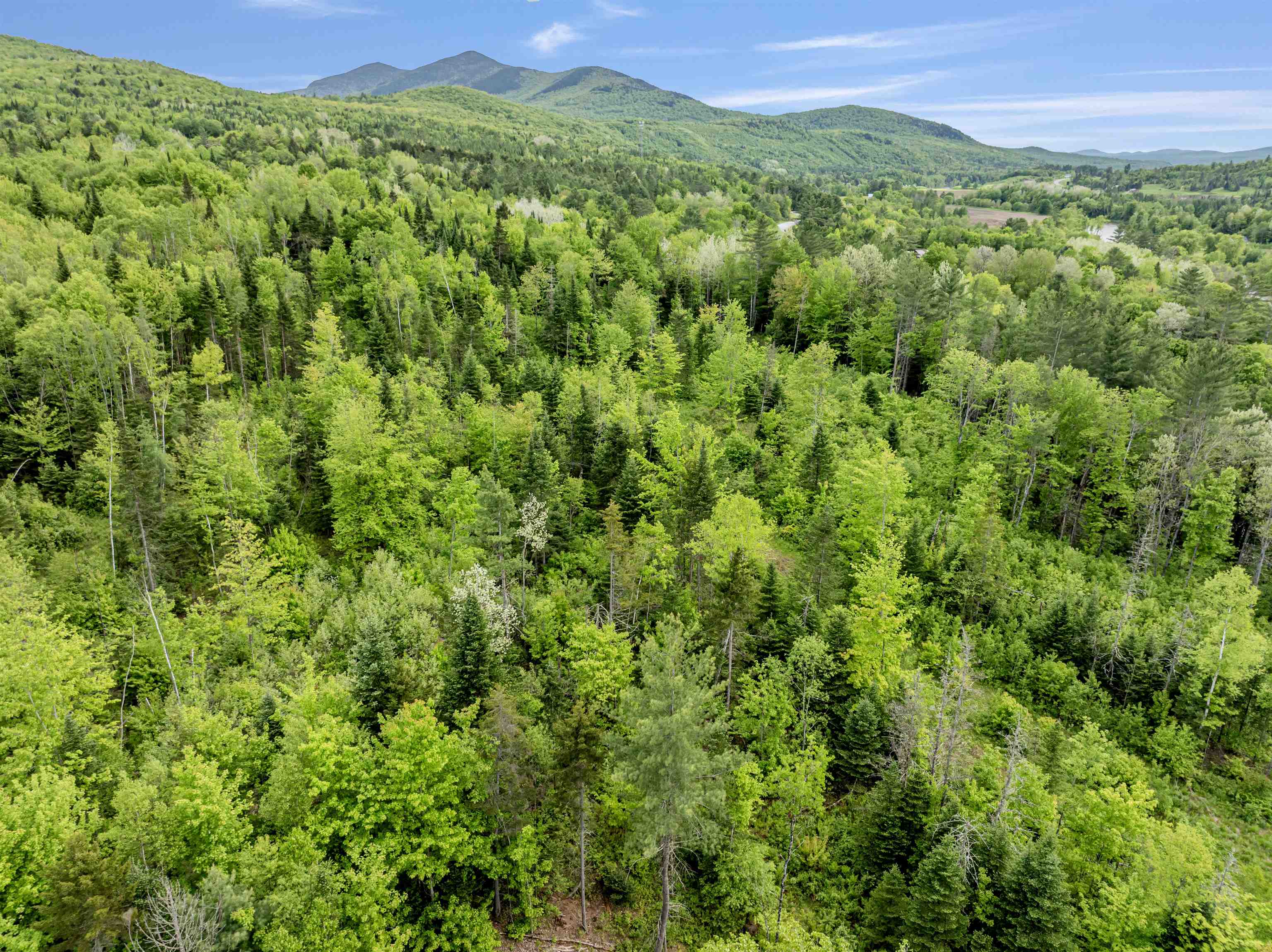 Lot 5 Highway 3 Pittsburg, NH 03592 - Photo 4 of 12