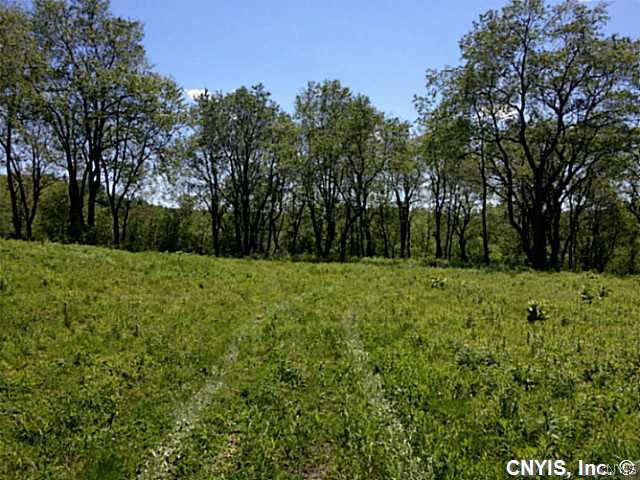2367 Gardner Road Montague, NY 13367 - Photo 1 of 1 Land/Lot