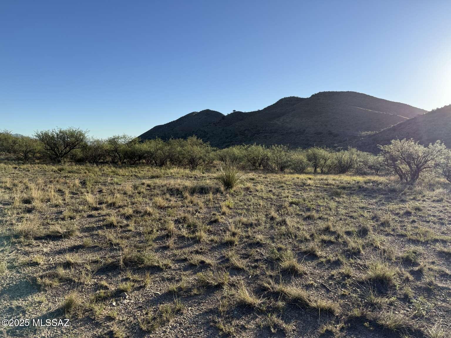 35705 Red Cloud Mine Road, Unit 1 Vail, AZ 85641 - Photo 11 of 12 a view of mountain and a forest