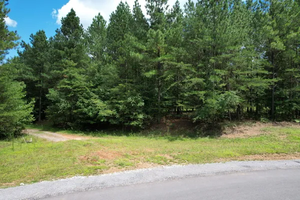 $99,000 | 0 Crockett Pointe Point, Unit JF614, South Pittsburg, TN 37380