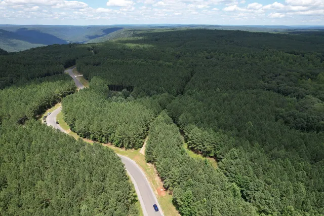 $99,000 | 0 Crockett Pointe Point, Unit JF614, South Pittsburg, TN 37380