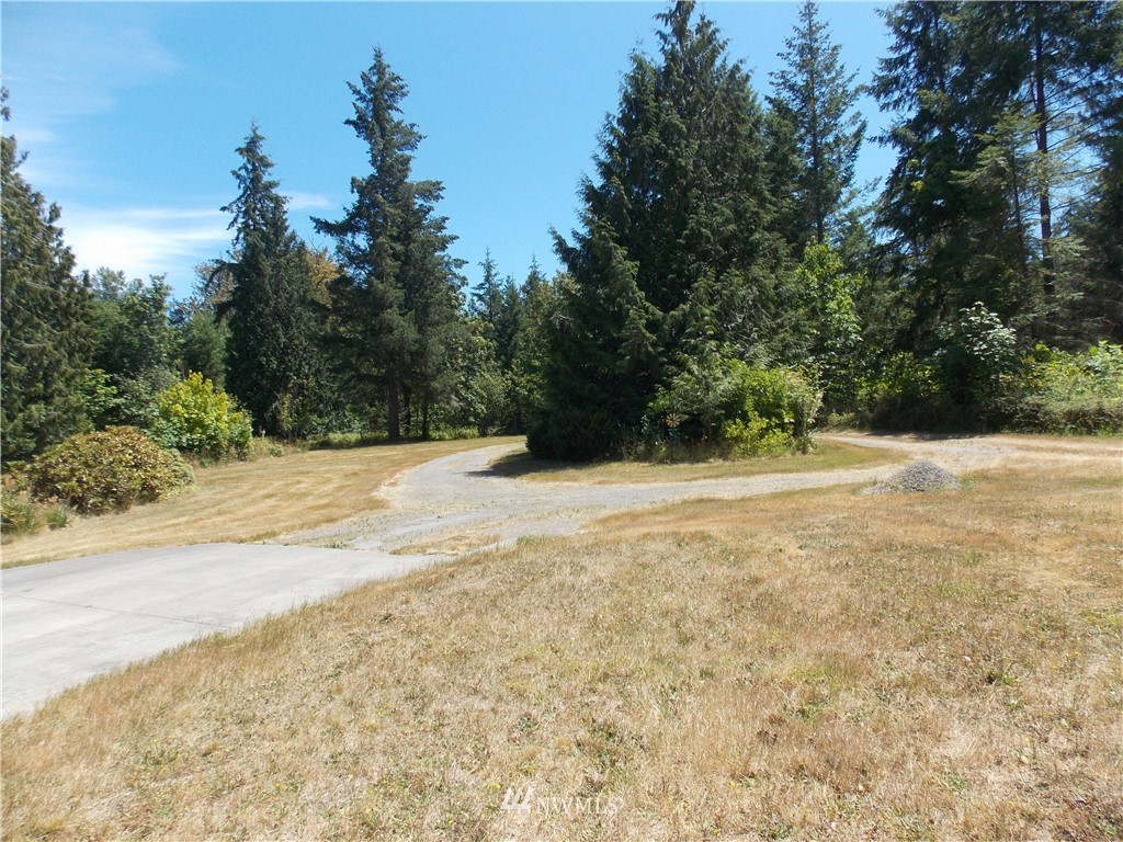 15247 Runyon Road Southeast Rainier, WA 98576 - Photo 3 of 25