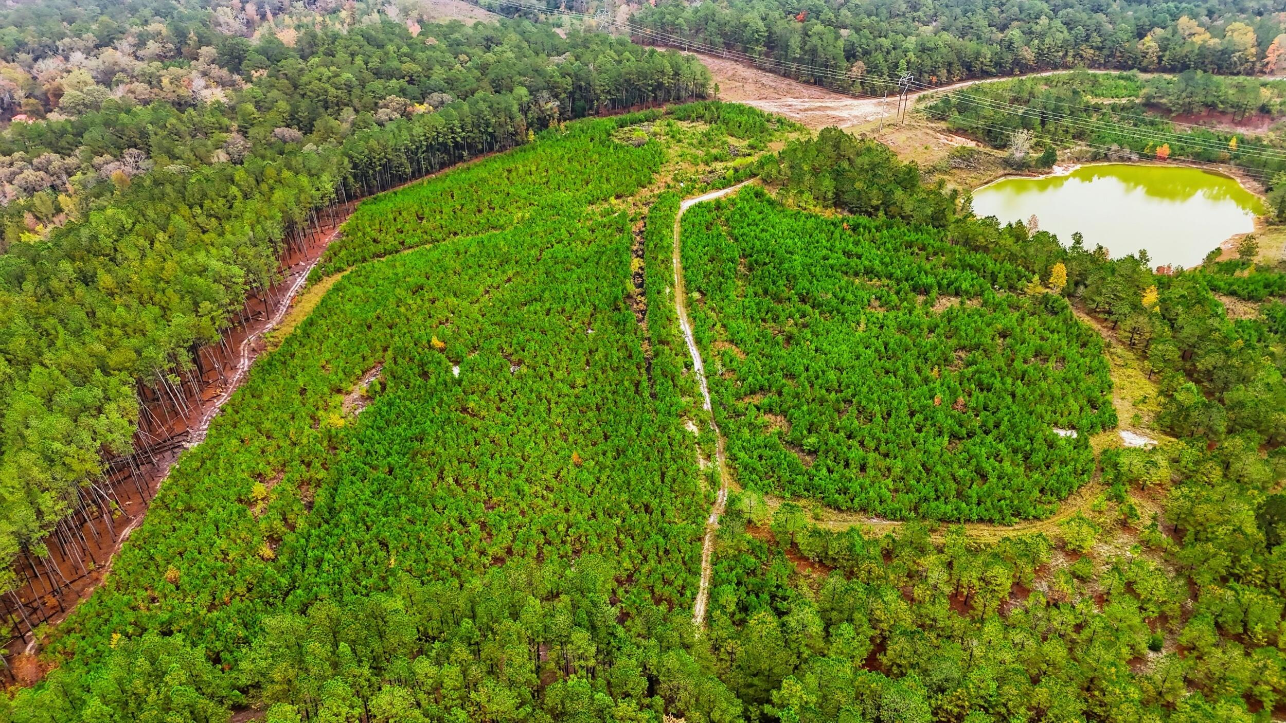 2427 B Wire Road Aiken, SC 29805 - Photo 14 of 21 dji_20251029145040_0080_d