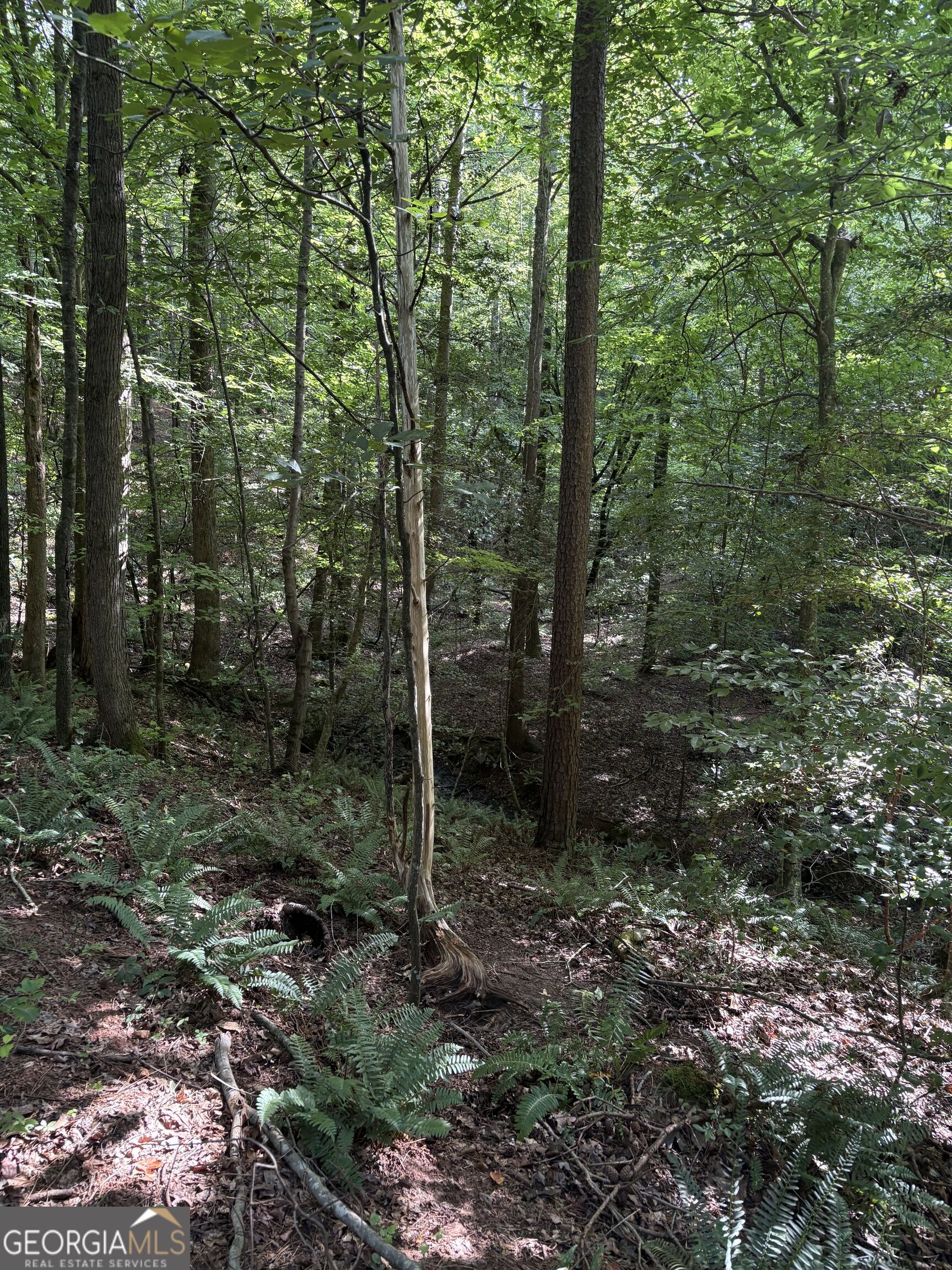 1208 Hornets Bridge Road Elberton, GA 30635 - Photo 20 of 23 Gallery Image 20