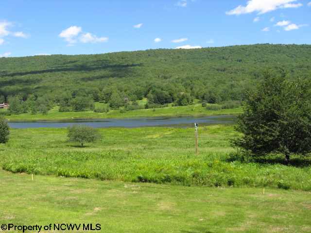 86 Snapping Turtle Lane Davis, WV 26260 - Photo 3 of 15 Gallery Image 3