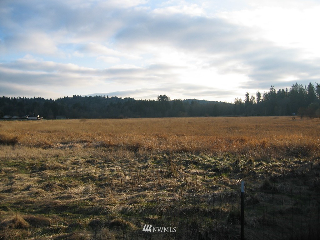 3025 Angus Road Southeast Tenino, WA 98589 - Photo 3 of 12 Gallery Image 3