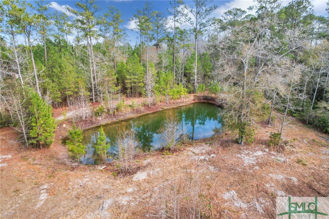 624 Calvary Road Northeast Ludowici, GA 31316 - Photo 50 of 50 Gallery Image 50