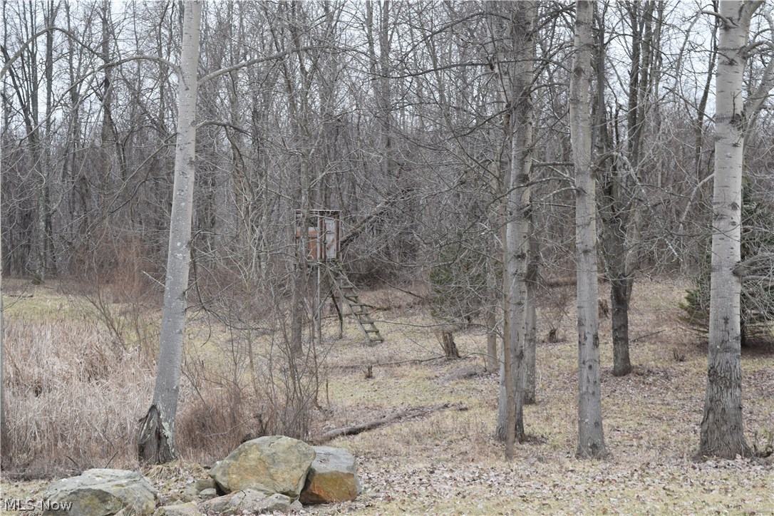 32555 Swallie Road Barnesville, OH 43713 - Photo 16 of 17 Gallery Image 16