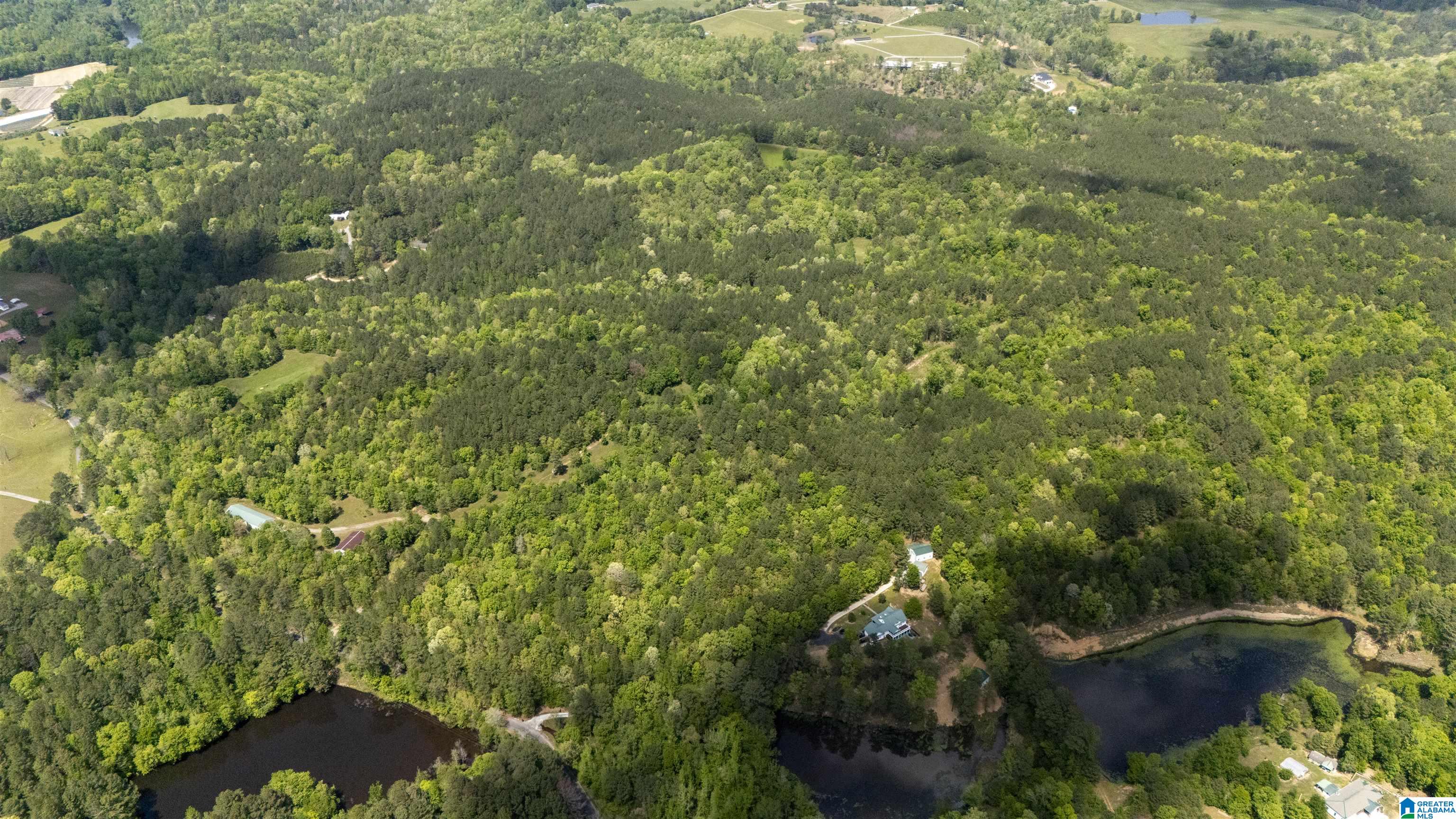 2121 Center Hill Road Trafford, AL 35172 - Photo 84 of 100