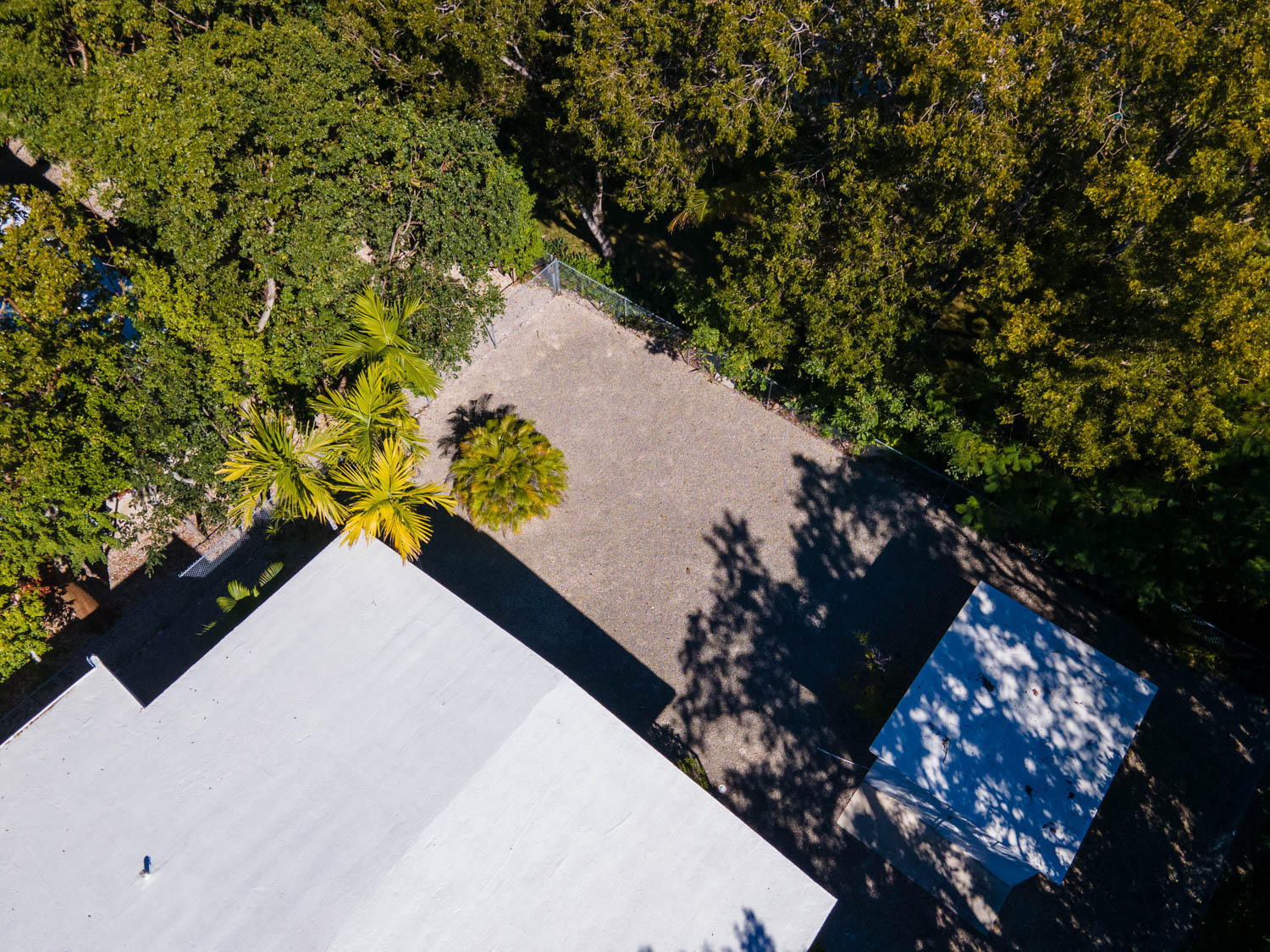 205 Sunset Boulevard Key Largo, FL 33037 - Photo 34 of 42 a view of tree