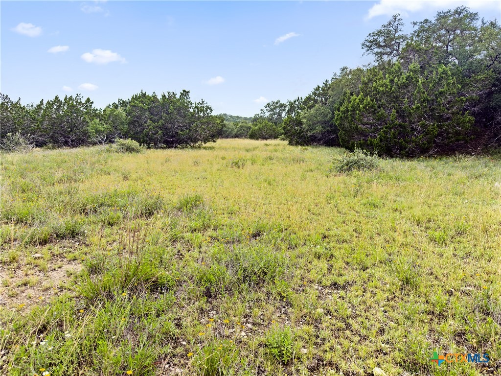 141 Vista View Place Spring Branch, TX 78070 - Photo 7 of 32