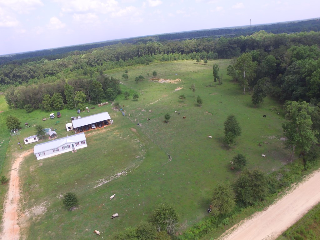 1164 Lake Frankie Road Samson, AL 36477 - Photo 2 of 36