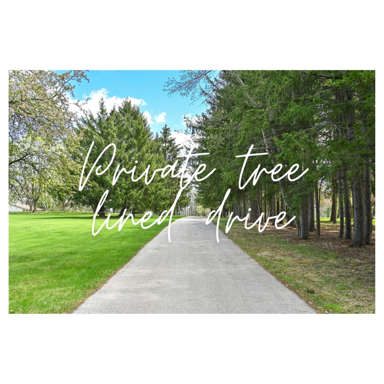 Private Tree Lined Drive
