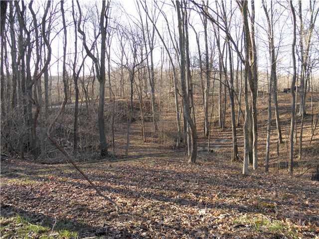 2950 Country Club Road Spencer, IN 47460 - Photo 3 of 13