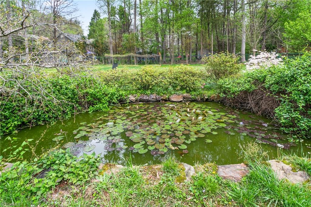 5528 Salem View Road Pfafftown, NC 27040 - Photo 37 of 40