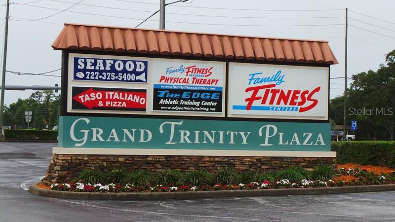 4719 Cavendish Drive New Port Richey, FL 34655 - Photo 48 of 61