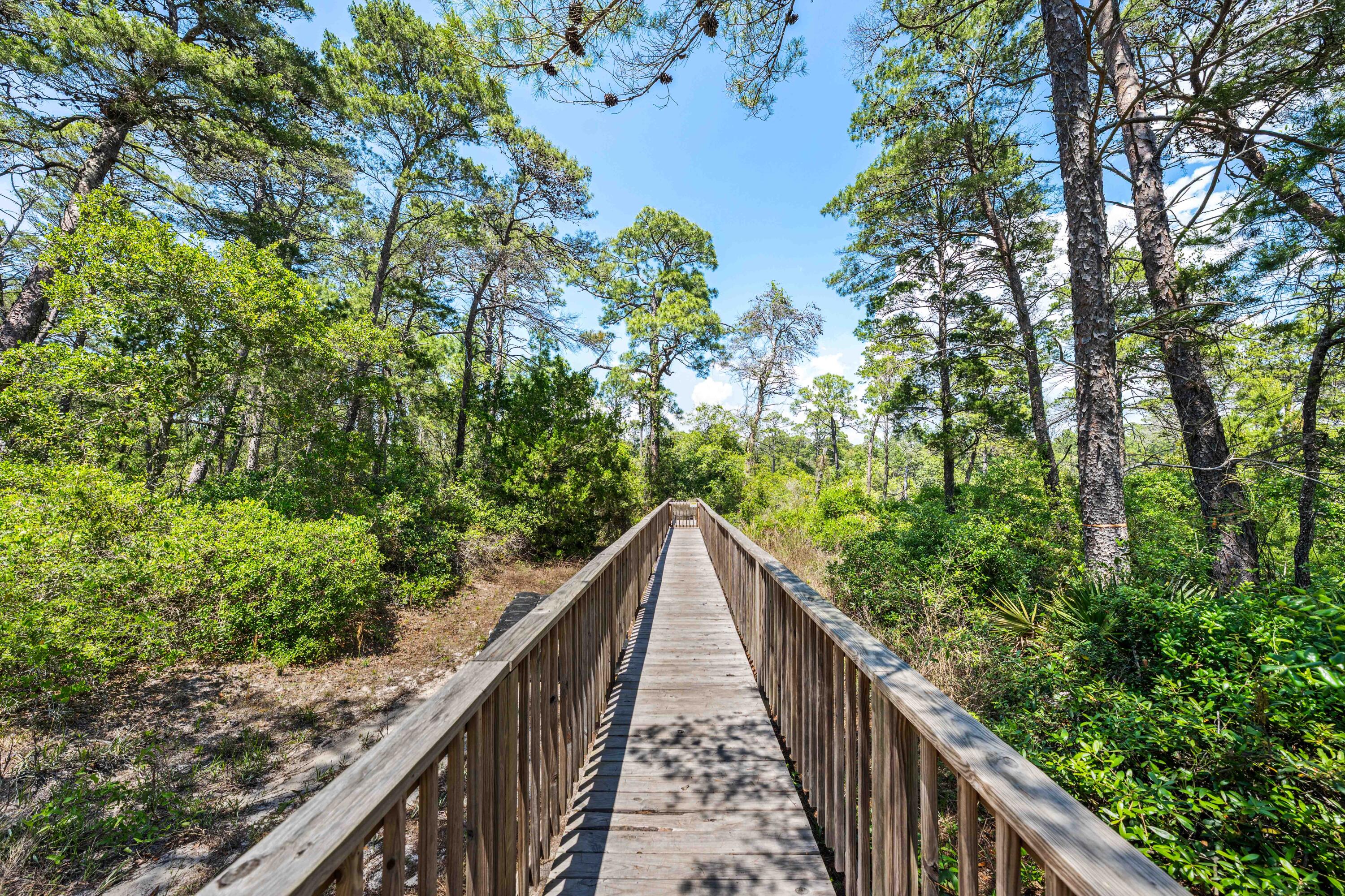 95 West Willow Mist Road Inlet Beach, FL 32461 - Photo 59 of 72 95 Willow Mist-64