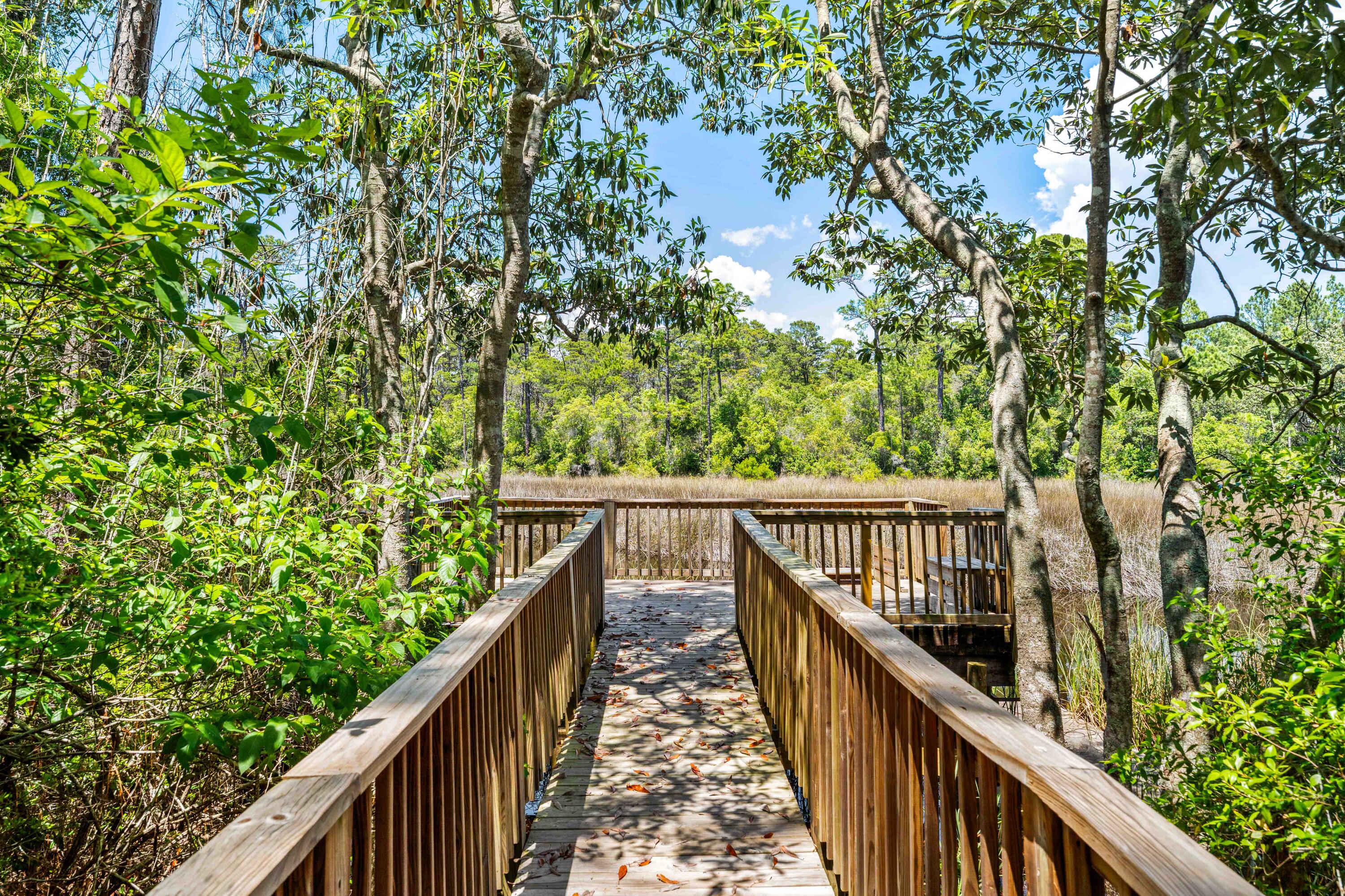 95 West Willow Mist Road Inlet Beach, FL 32461 - Photo 61 of 72 95 Willow Mist-66